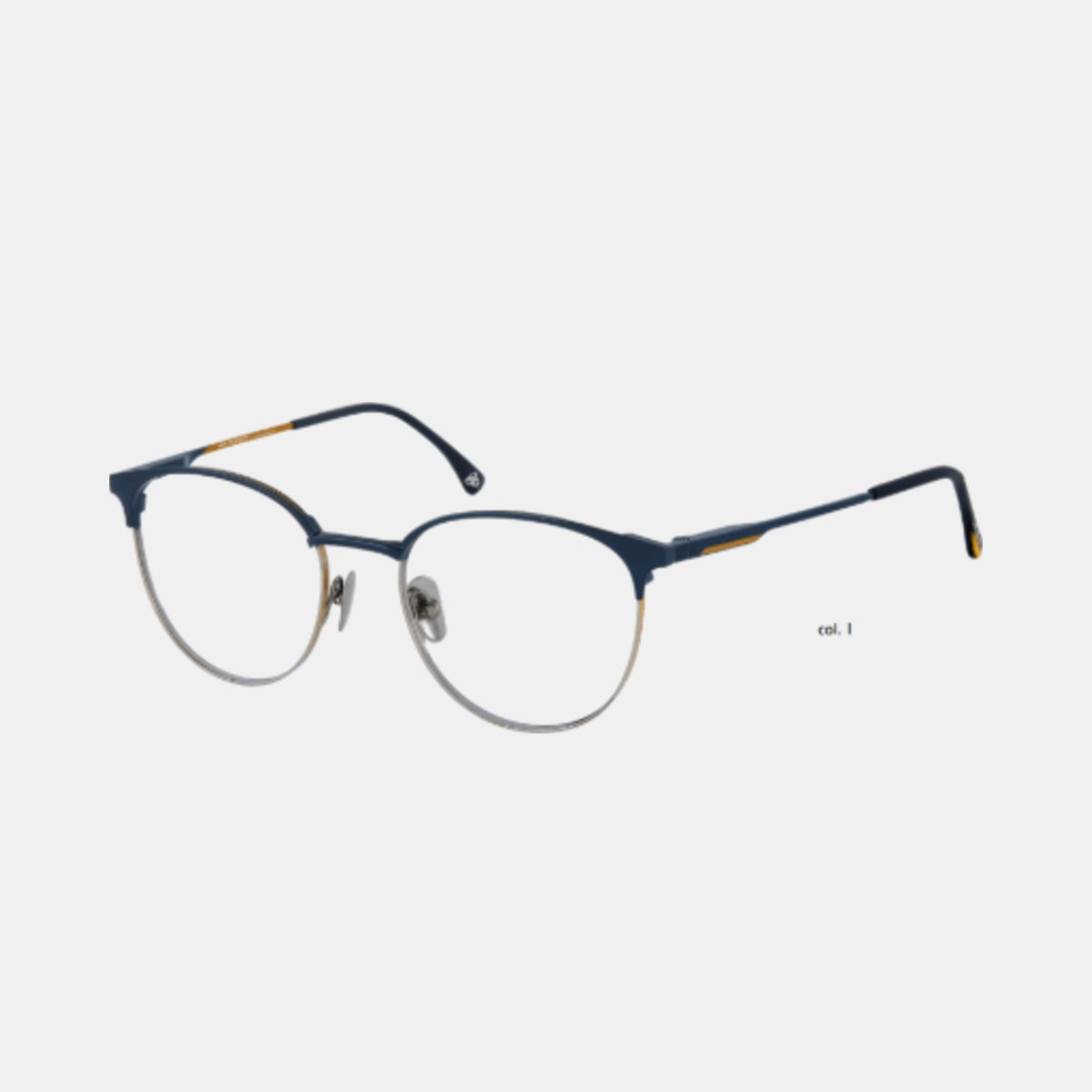 Roy Robson Modelo 01